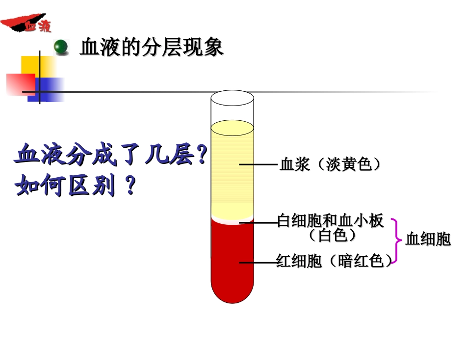 血液和血型1_第3页