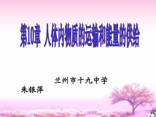 血液和血型1