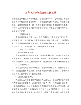 09年6月小学党支部工作汇报 