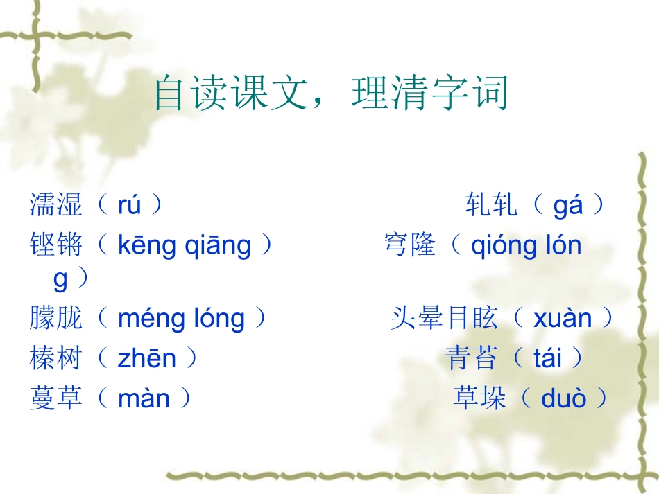 语文版《树林和草原》课件_第3页