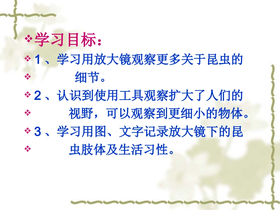 _放大镜下的昆虫世界_第2页