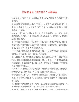 2024纪录片“武汉日记”心得体会 