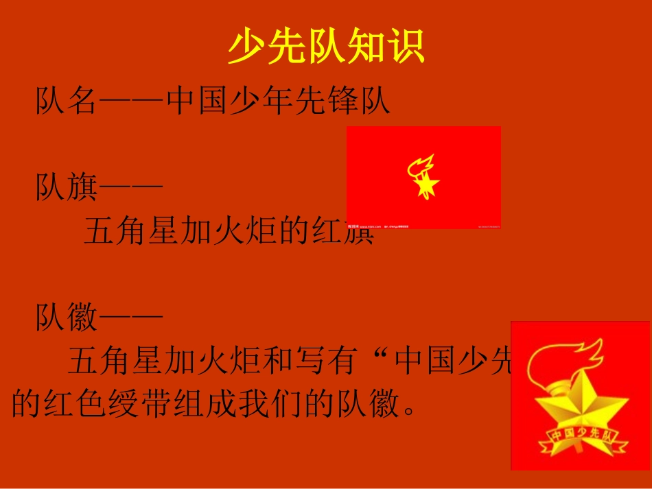 少先队中队辅导员培训_第2页