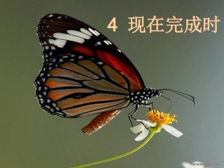 高中英语_现在完成时