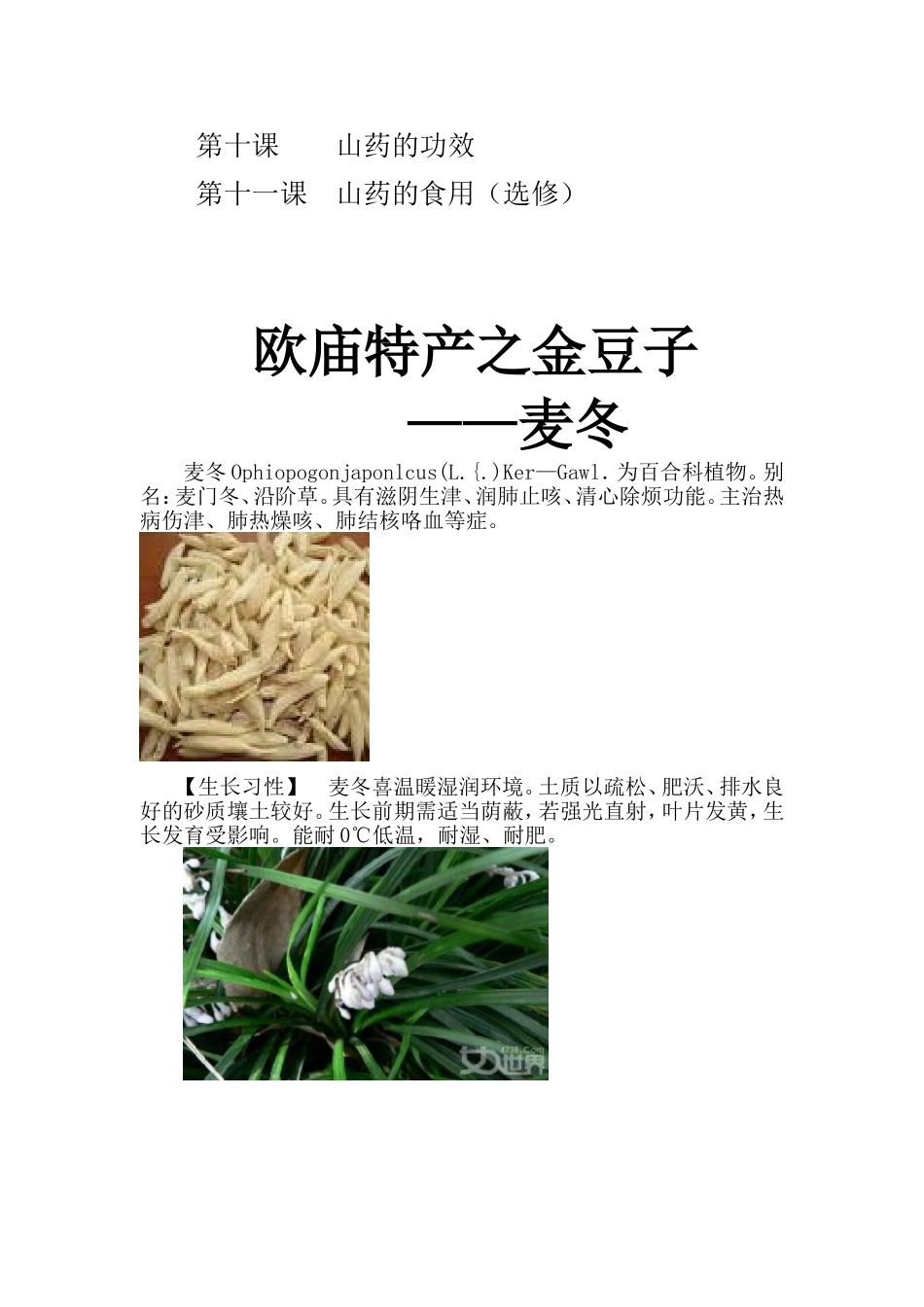 2015杨威校本教材（农特欧庙）_第3页