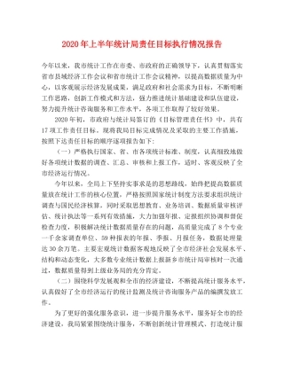 2024年上半年统计局责任目标执行情况报告 