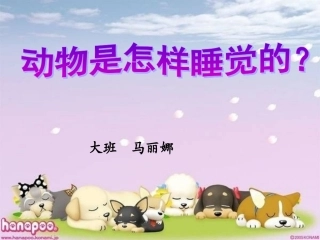 教学课件___动物怎样睡觉