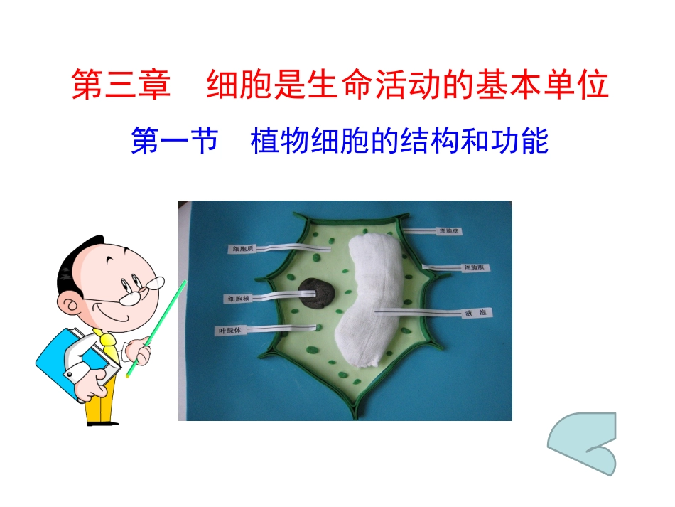 赵玉洪课件植物细胞的结构和功能_第1页