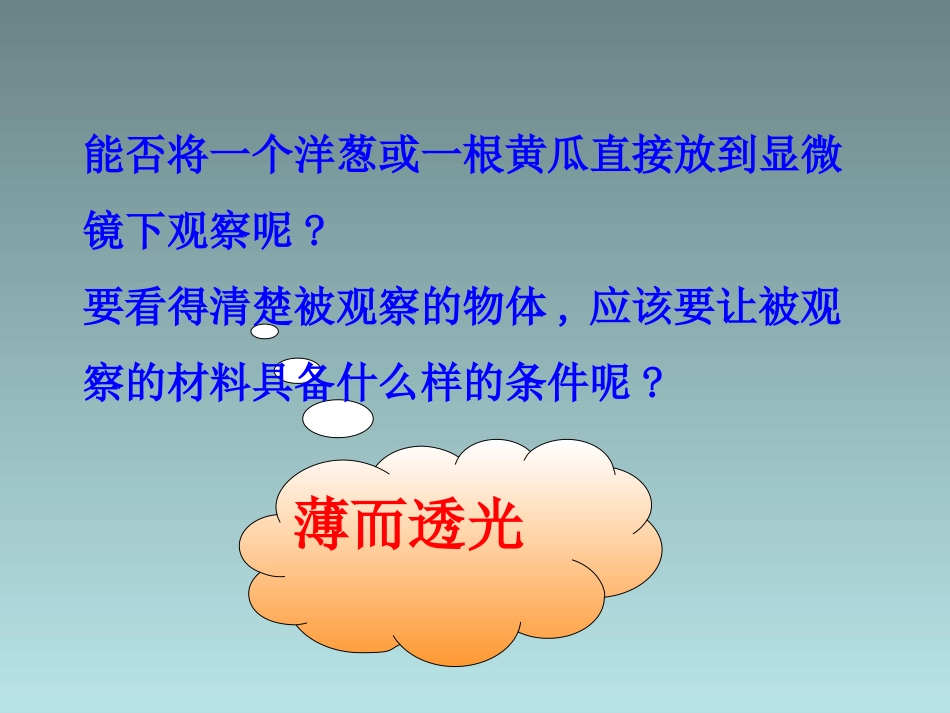 赵玉洪课件植物细胞的结构和功能_第2页