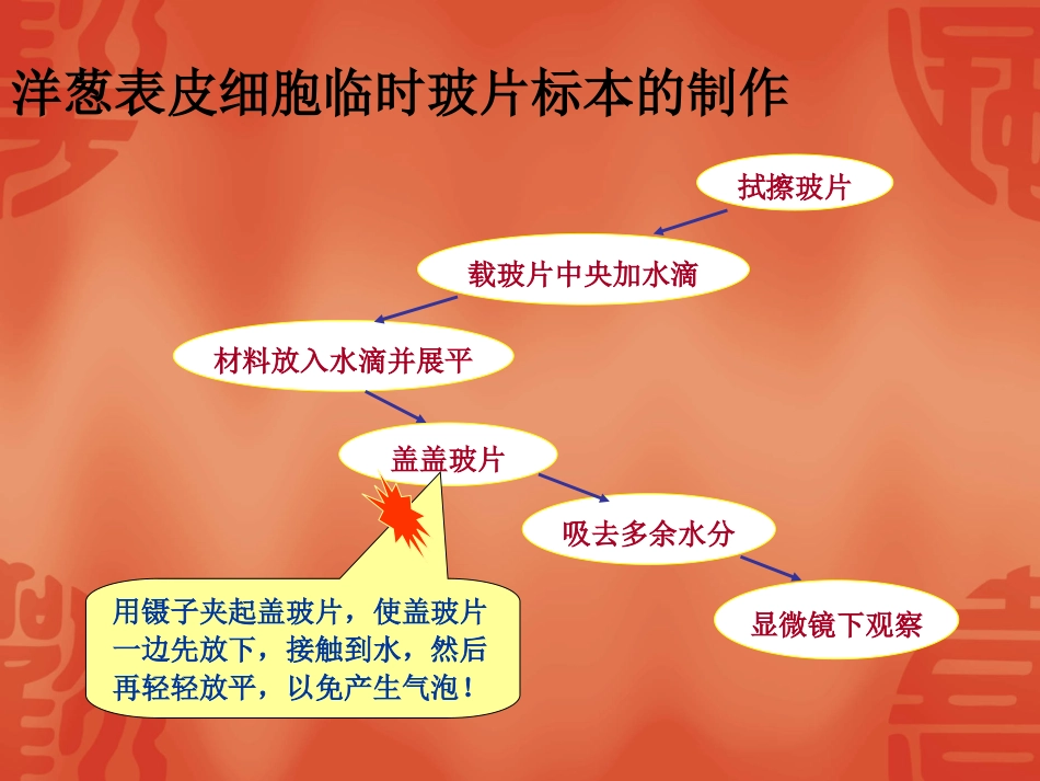赵玉洪课件植物细胞的结构和功能_第3页