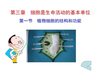 赵玉洪课件植物细胞的结构和功能