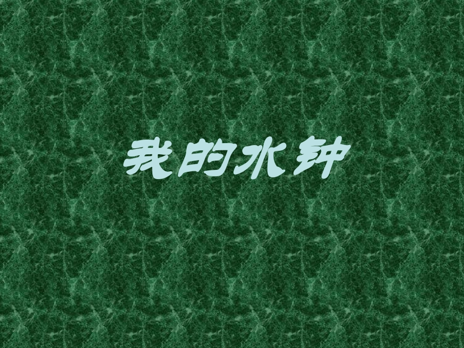 我的水钟（课件）_第1页