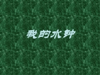 我的水钟（课件）