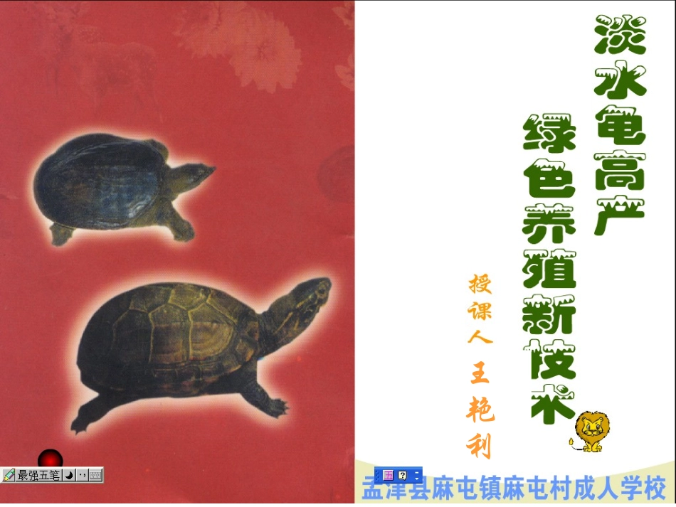 养龟幻灯片课件_第1页