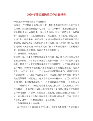 2024年度街道民政工作自查报告 