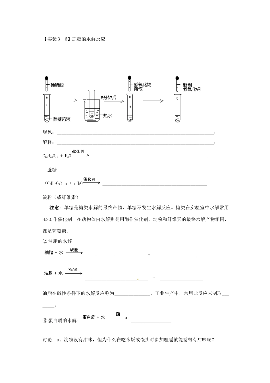 河北省抚宁县第六中学高一化学下册《基本营养物质》学案_第3页