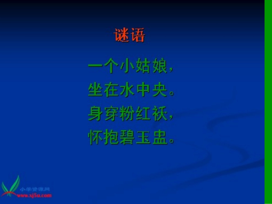 三年级下册课件全集第3课《荷花》PPT课件_第1页