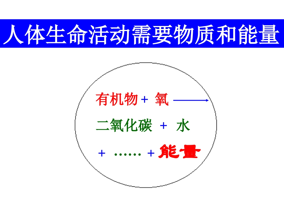 人体复习 (2)_第1页