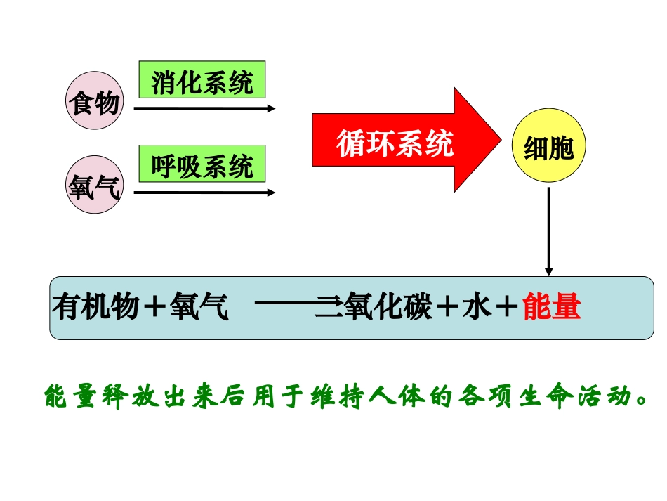 人体复习 (2)_第2页