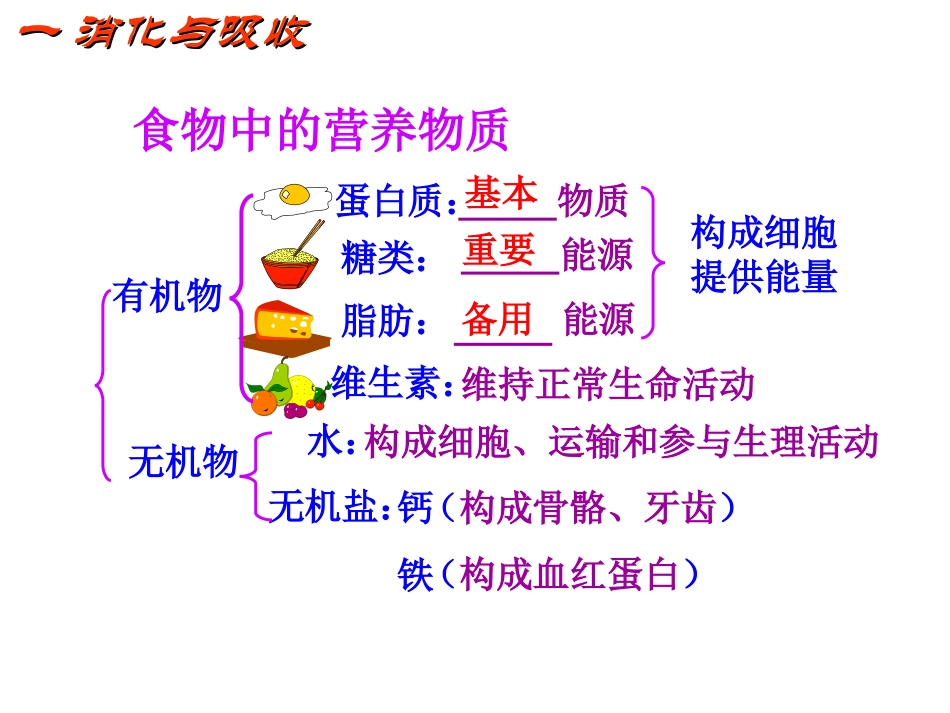 人体复习 (2)_第3页