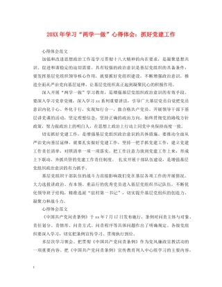 20XX年学习“两学一做”心得体会：抓好党建工作 