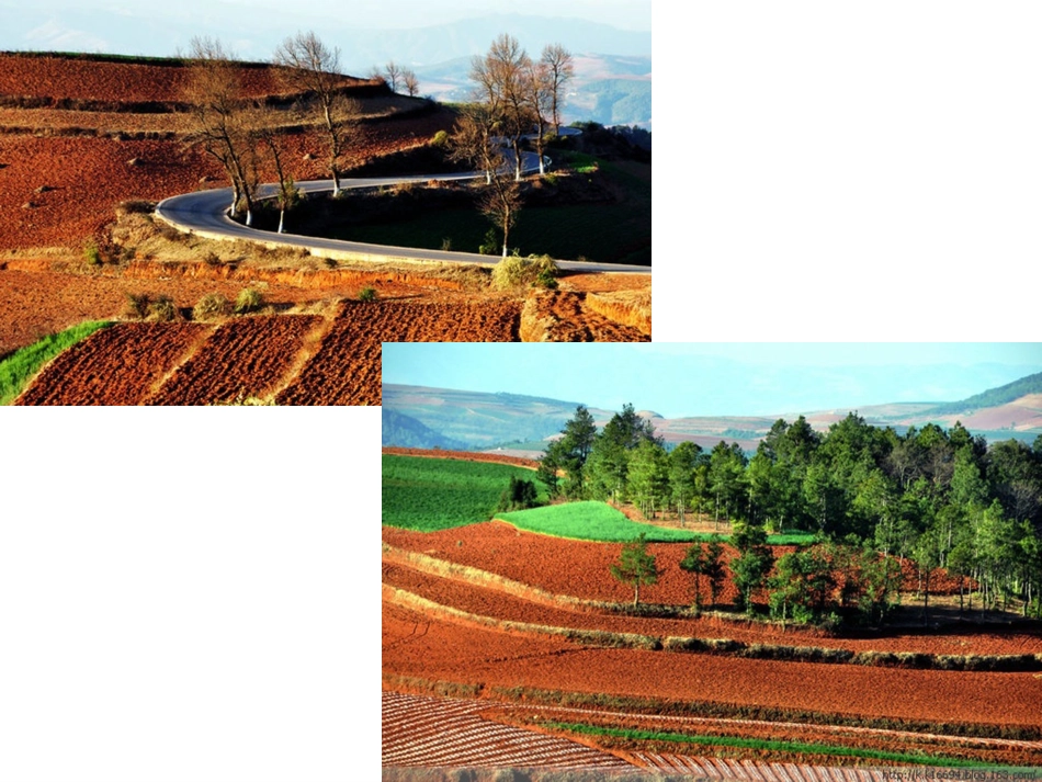 初中二年级地理下册第七章南方地区第一节自然特征第一课时课件_第2页