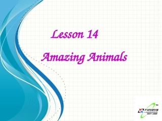新版Lesson14