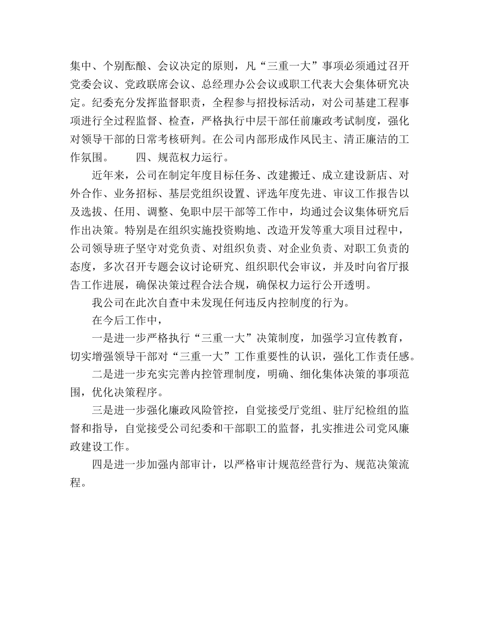 2024年公司内控制度落实情况自查报告 _第2页