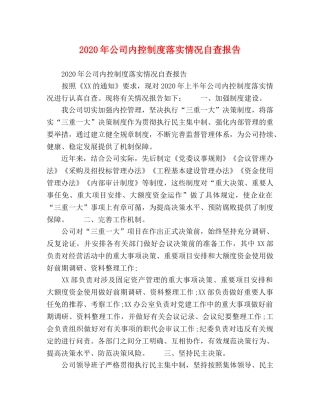 2024年公司内控制度落实情况自查报告 