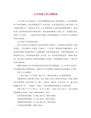 12月市政工作心得体会 