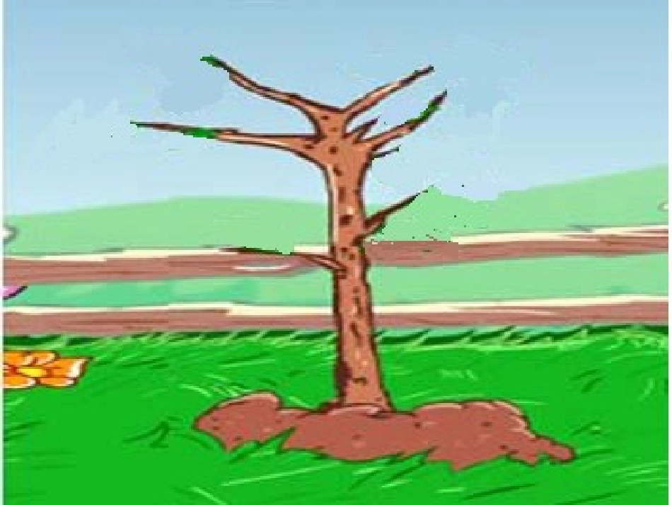 一片树叶PPT课件_第2页