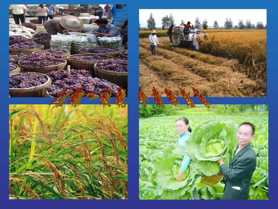 化学肥料课件_第2页