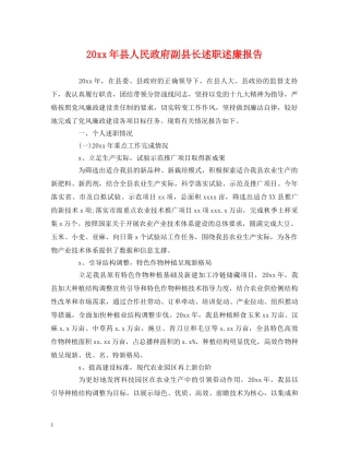 20xx年县人民政府副县长述职述廉报告 (000001)