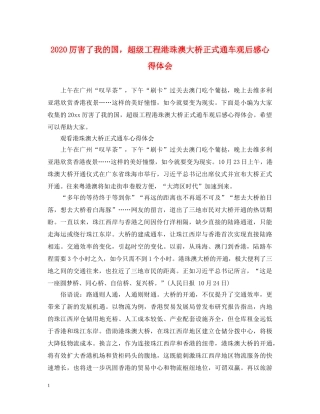 2024厉害了我的国，超级工程港珠澳大桥正式通车观后感心得体会 