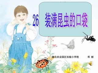 终极：装满昆虫的口袋课件