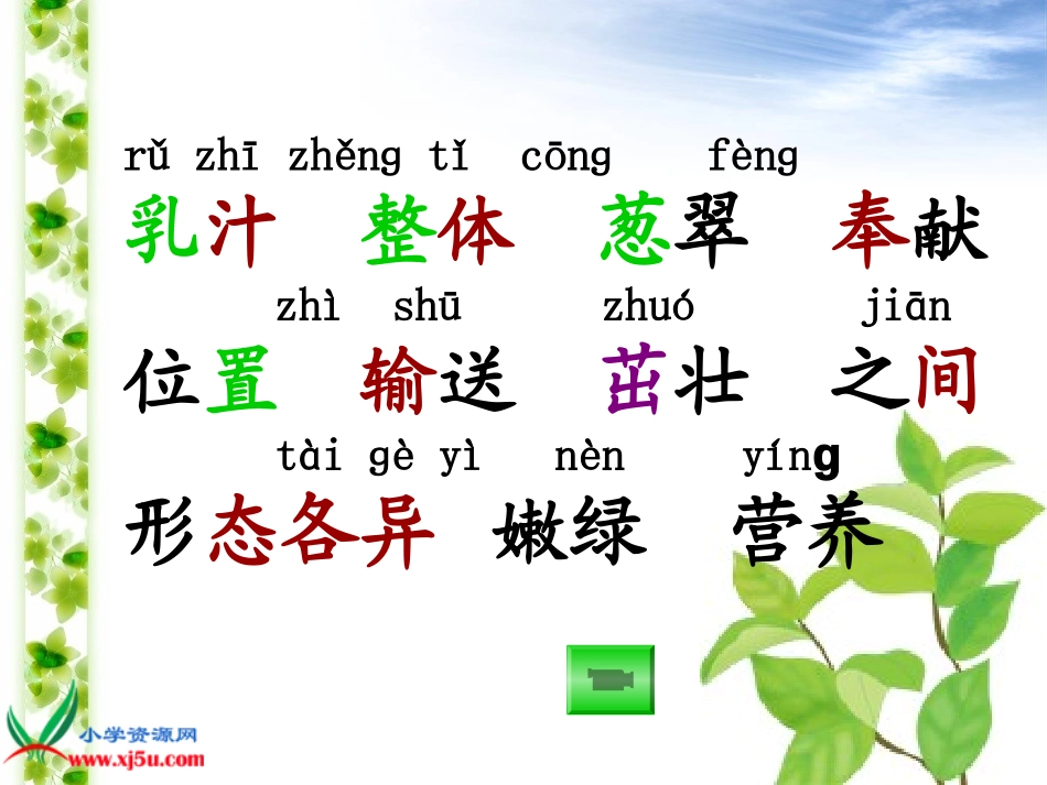 《做一片美的叶子》教学演示课件_第2页