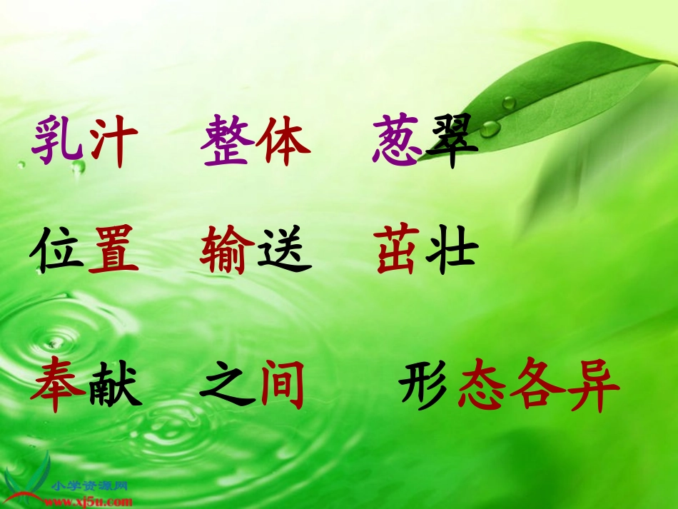 《做一片美的叶子》教学演示课件_第3页