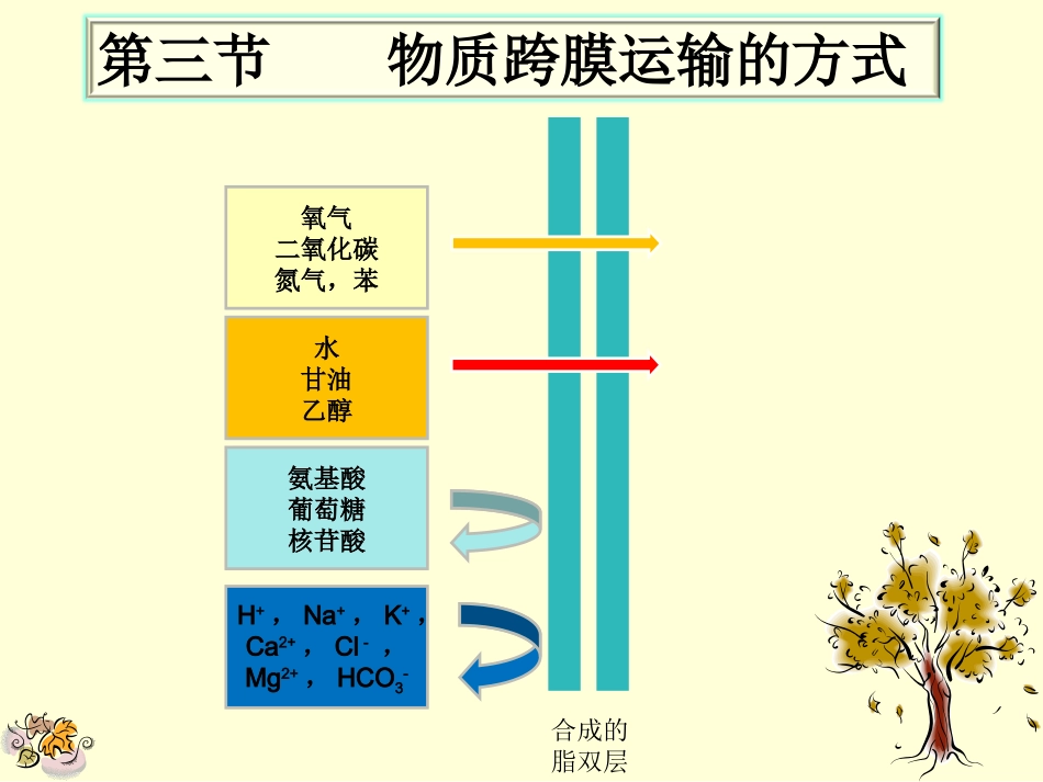 人教版必修1第4章第3节物质跨膜运输的方式（共13张PPT）_第1页