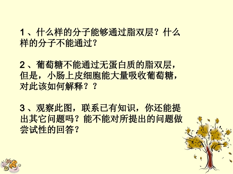 人教版必修1第4章第3节物质跨膜运输的方式（共13张PPT）_第2页