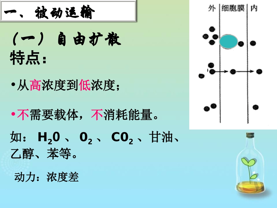 人教版必修1第4章第3节物质跨膜运输的方式（共13张PPT）_第3页