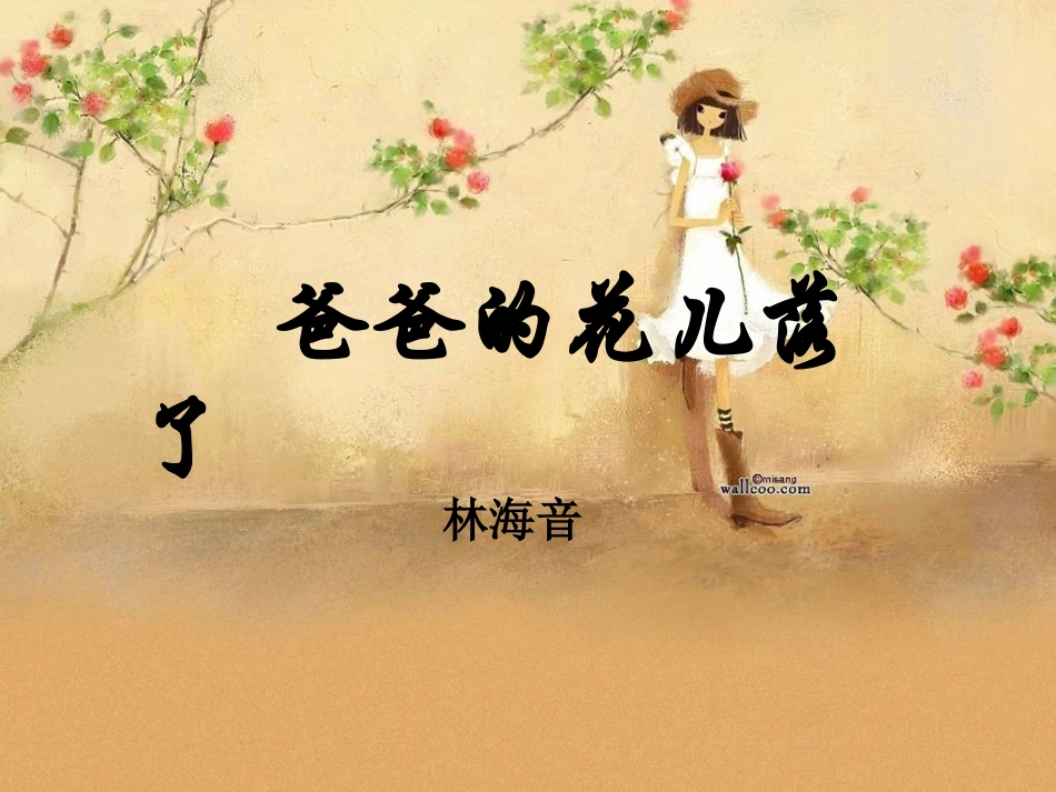 爸爸的花儿落了2_第1页