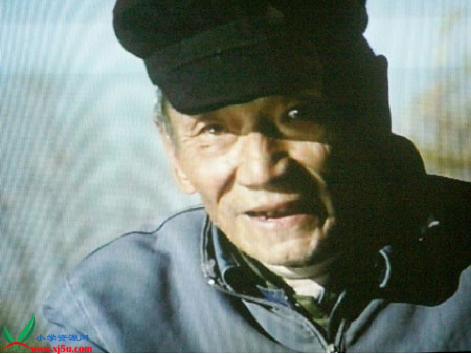 人教版六年级语文=上册《老人与海鸥》PPT课件1_第2页