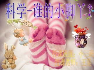 小班科学《谁的小脚丫》