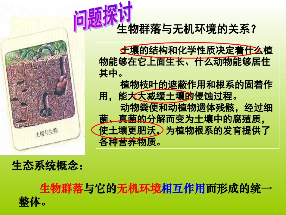 必修三51生态系统的结构PPT_第2页