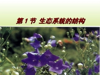 必修三51生态系统的结构PPT