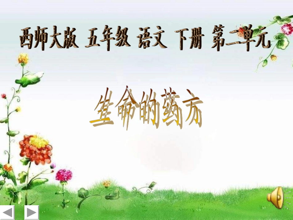 生命的药方1_第1页