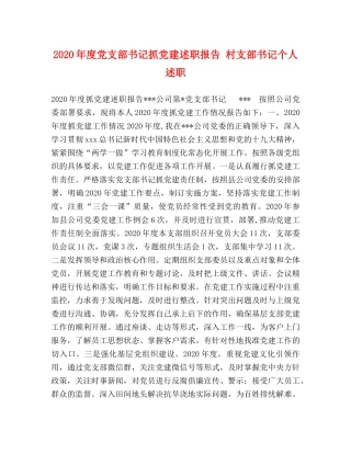 2024年度党支部书记抓党建述职报告 村支部书记个人述职 