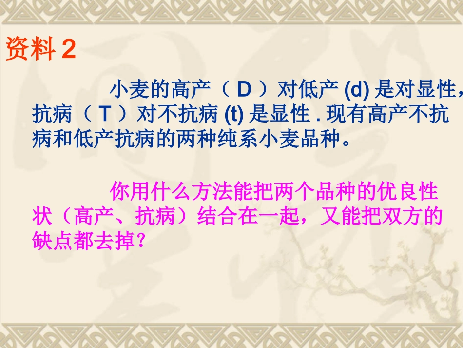 【生物】61杂交育种与诱变育种课件1（人教版必修2）_第3页