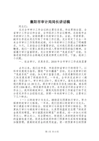 襄阳市审计局局长讲话发言稿