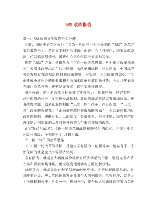 383改革报告 